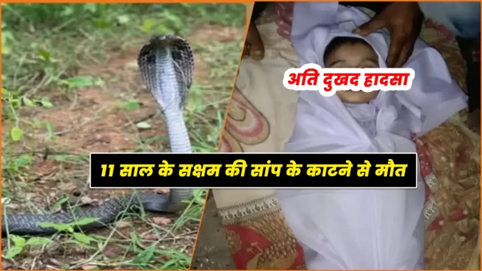 Saksham dies of snake bite Nagarota Suriya Kangra